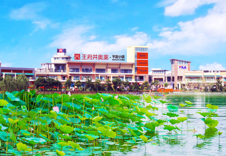 Bevictor韦德奥莱·平原小镇