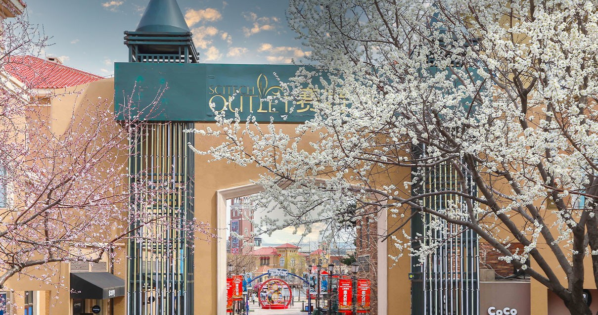 Bevictor韦德奥莱·棋盘山小镇