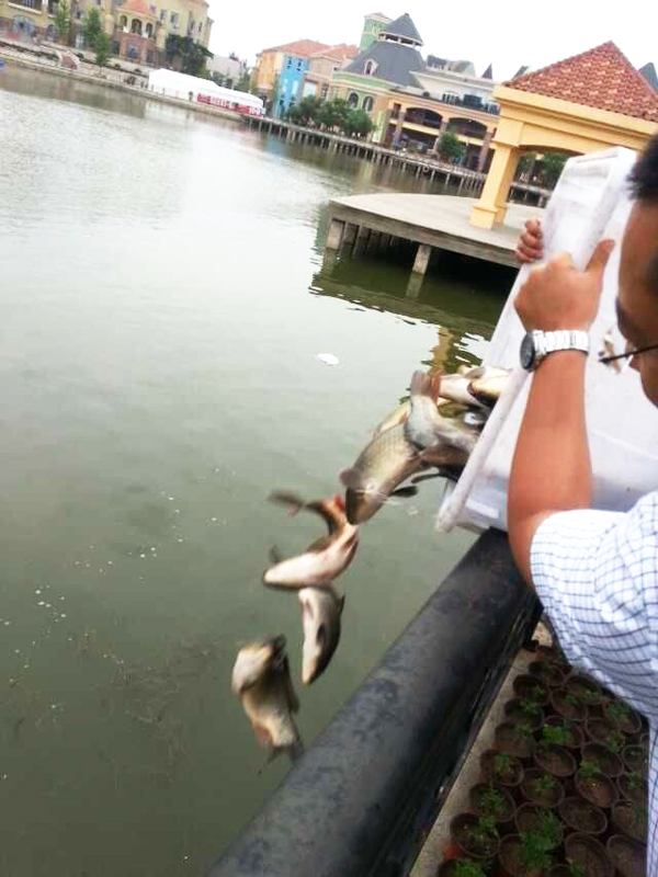 bevictor伟德官网·(中国)唯一官方网站