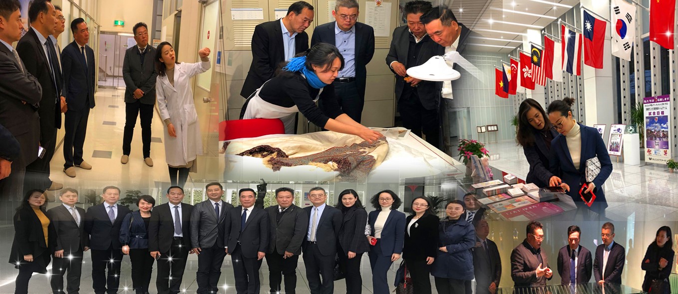 bevictor伟德官网·(中国)唯一官方网站