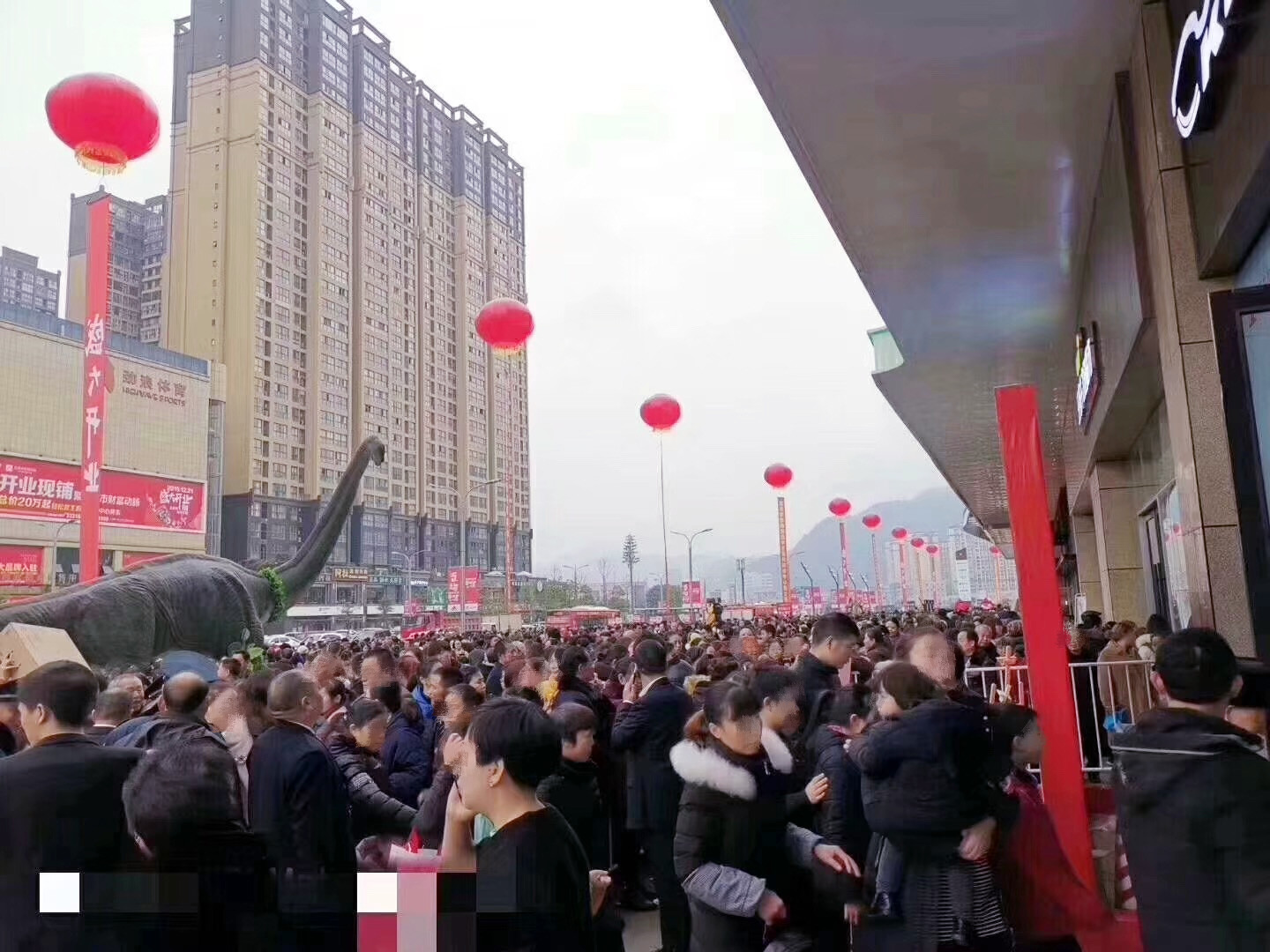 bevictor伟德官网·(中国)唯一官方网站