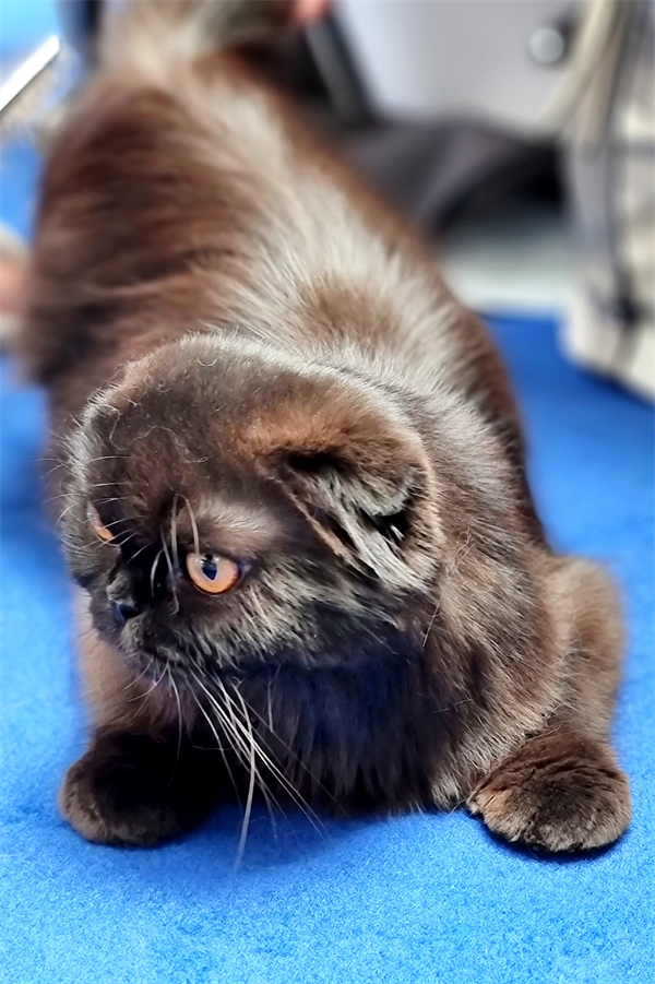 bevictor伟德官网·(中国)唯一官方网站