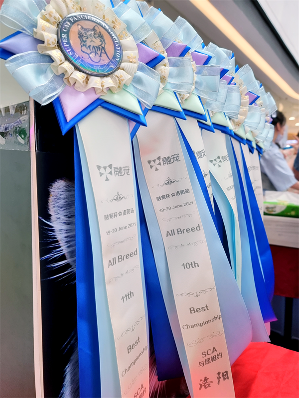 bevictor伟德官网·(中国)唯一官方网站