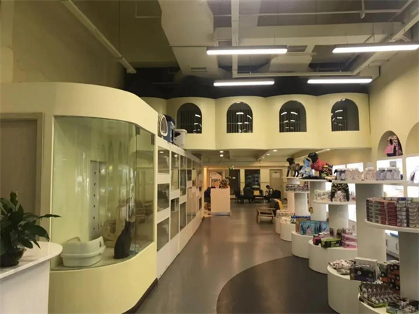 bevictor伟德官网·(中国)唯一官方网站