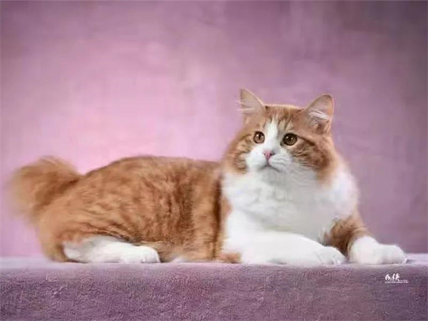 bevictor伟德官网·(中国)唯一官方网站