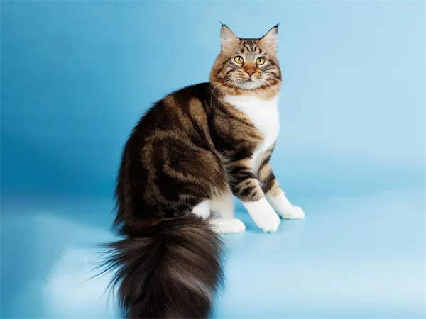 bevictor伟德官网·(中国)唯一官方网站