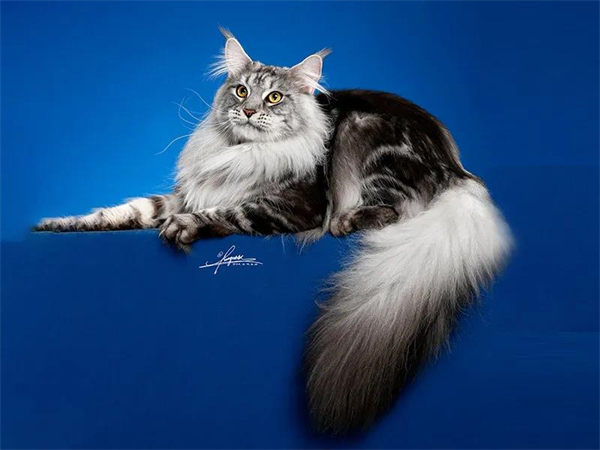 bevictor伟德官网·(中国)唯一官方网站