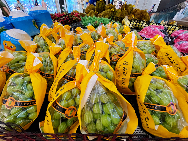 bevictor伟德官网·(中国)唯一官方网站