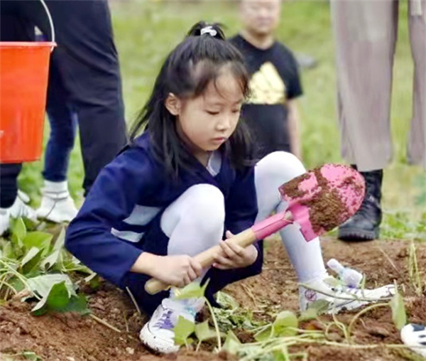 bevictor伟德官网·(中国)唯一官方网站