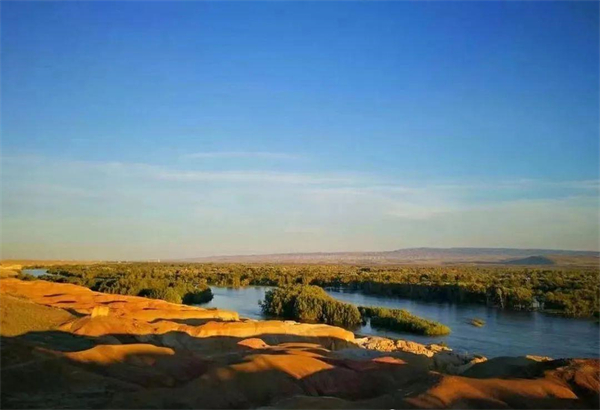 bevictor伟德官网·(中国)唯一官方网站