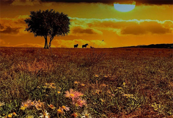 bevictor伟德官网·(中国)唯一官方网站