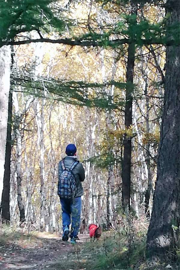 bevictor伟德官网·(中国)唯一官方网站