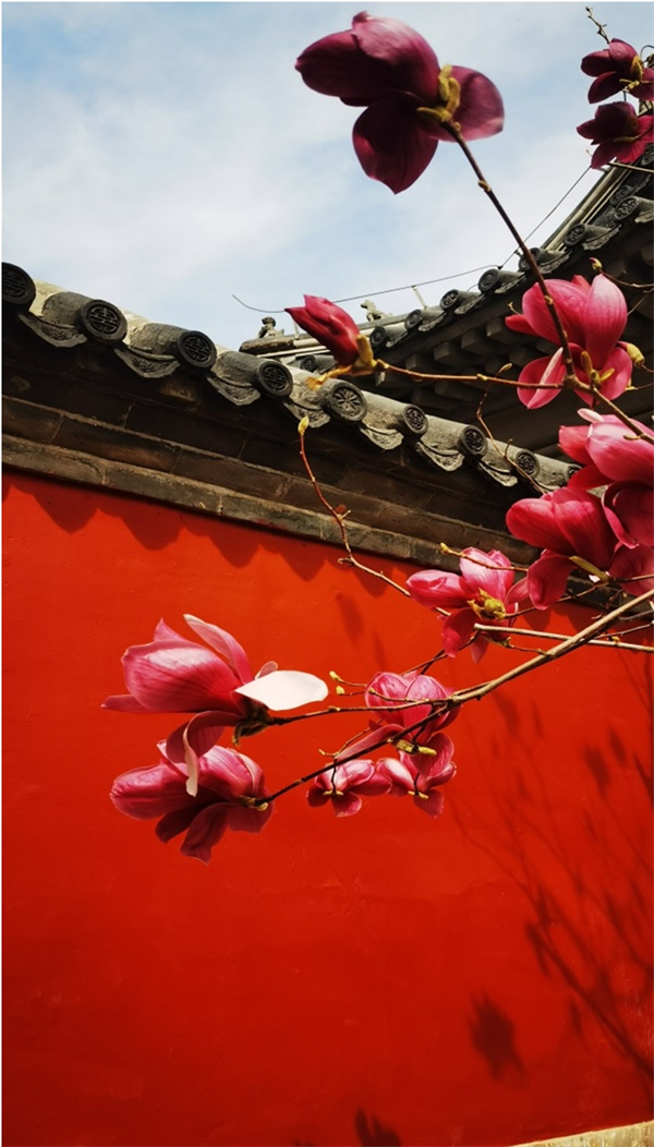 bevictor伟德官网·(中国)唯一官方网站