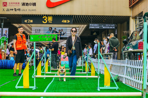 bevictor伟德官网·(中国)唯一官方网站