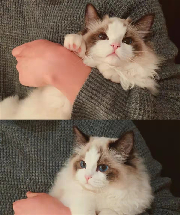 bevictor伟德官网·(中国)唯一官方网站