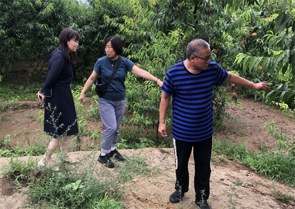 bevictor伟德官网·(中国)唯一官方网站